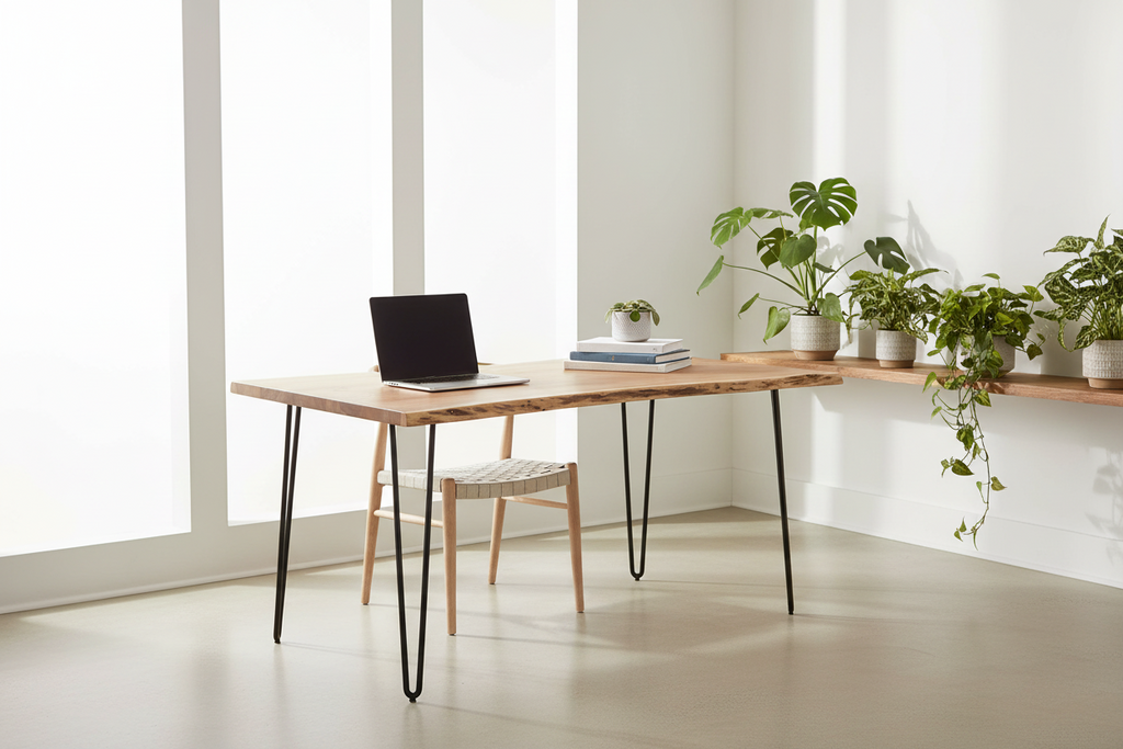 Live Edge Hairpin desk staged in a bright minimalist home office with a woven chair, laptop and trailing plants