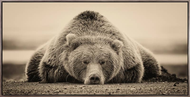 Deep Sleep canvas wall art — sleeping bear