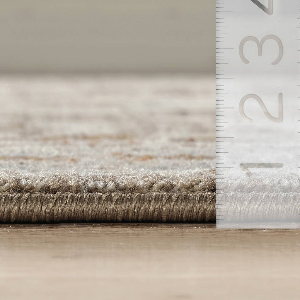 Alara Taupe Cream Vintage Medallion Floral Area Rug