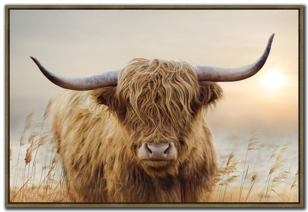 Highland Sunset canvas wall art