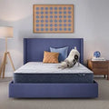 Serta Perfect Day 10 inch Medium mattress in a box